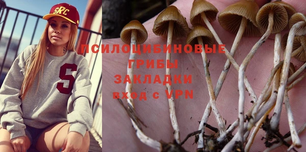 apvp Надым