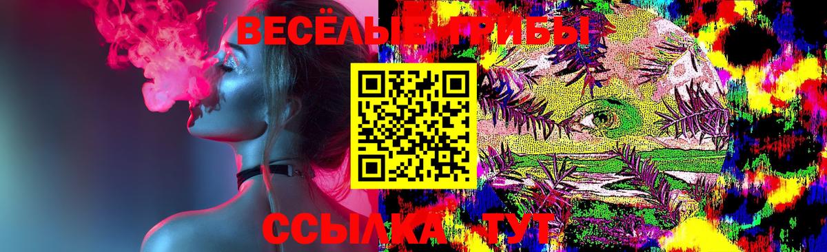 Кимовск  Псилоцибиновые грибы Psilocybe  Вход с VPN  Псилоцибиновые грибы GOLDEN TEACHER 