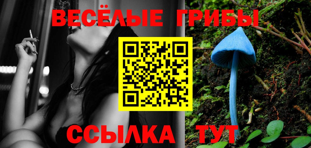 Галлюциногенные грибы MAGIC MUSHROOMS  наркошоп  Кимовск  Галлюциногенные грибы GOLDEN TEACHER 