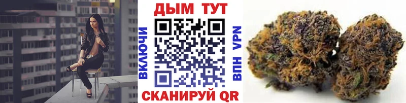 Бошки марихуана сатива Кимовск